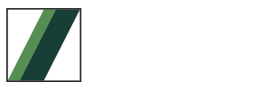 Stetter Logo